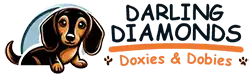 Darling Diamonds Doxies & Dobies
